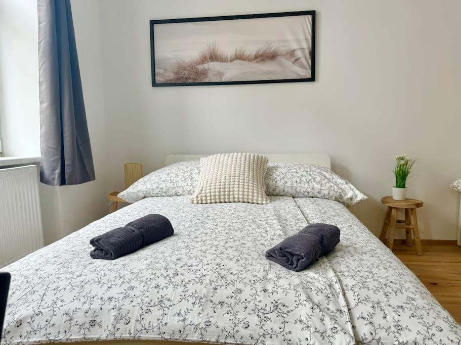 Stylish & Renovated With Free Parking Vienna